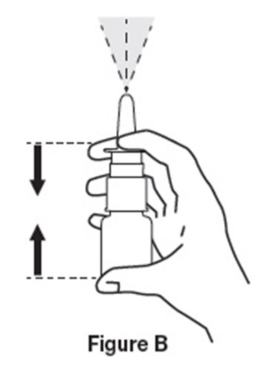 Figure B - 06 29 16 443 Figure B